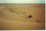 62 Merzouga.jpg